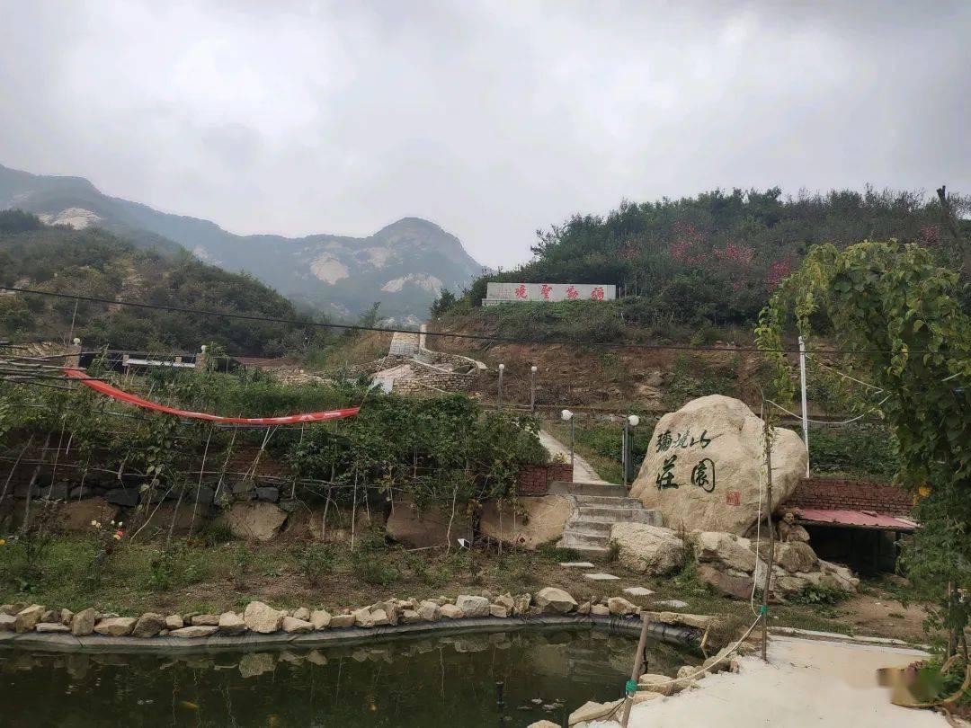 卷腹和仰卧起坐有什么区别,为什么卷腹比仰卧起坐效果好?-全面解答你的知识疑问