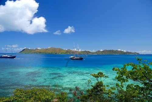 深入了解知识星球为什么蝗虫不吃水稻吃竹子?,开启知识分享与成长之旅
